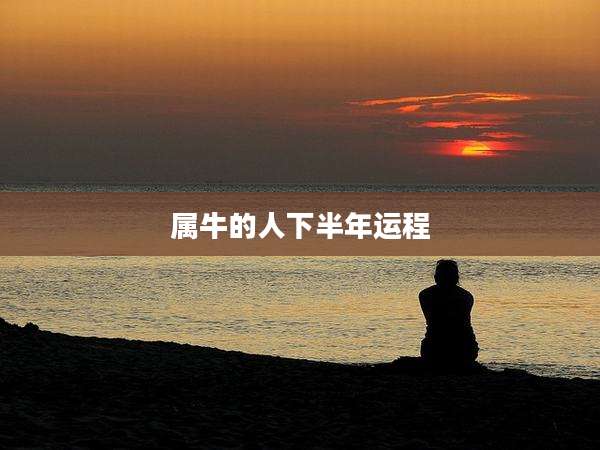 属牛的人下半年运程