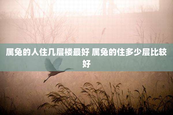 属兔的人住几层楼最好 属兔的住多少层比较好