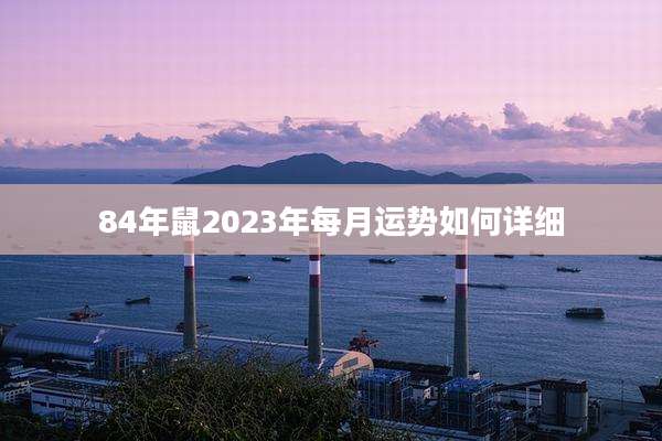 84年鼠2023年每月运势如何详细