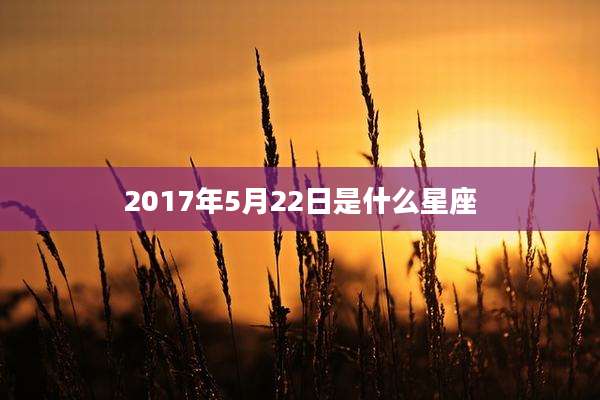 2017年5月22日是什么星座