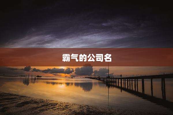 霸气的公司名
