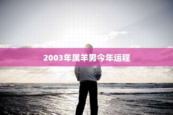 2003年属羊男今年运程