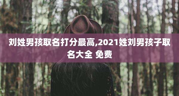 刘姓男孩取名打分最高,2021姓刘男孩子取名大全 免费