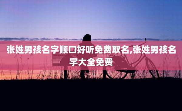 张姓男孩名字顺口好听免费取名,张姓男孩名字大全免费
