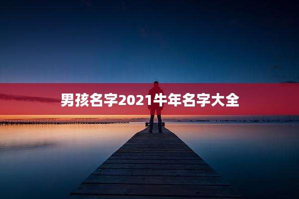 男孩名字2021牛年名字大全