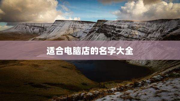 适合电脑店的名字大全