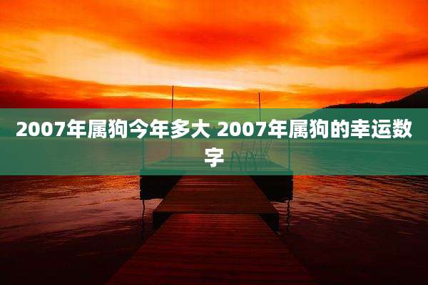 2007年属狗今年多大 2007年属狗的幸运数字