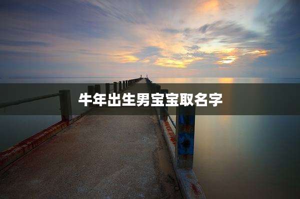 牛年出生男宝宝取名字