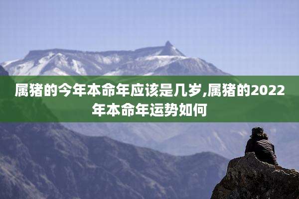 属猪的今年本命年应该是几岁,属猪的2022年本命年运势如何