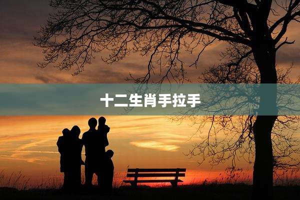 十二生肖手拉手