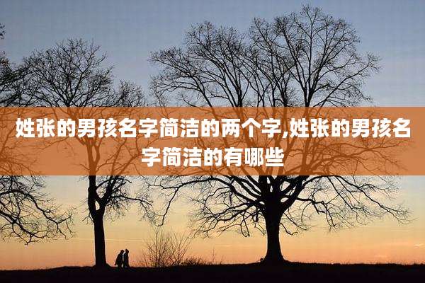 姓张的男孩名字简洁的两个字,姓张的男孩名字简洁的有哪些