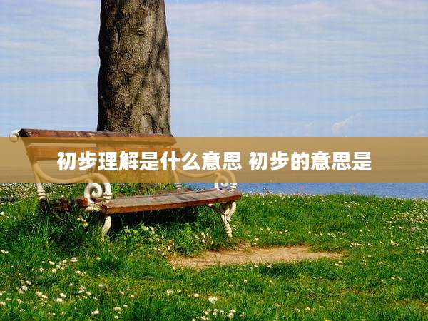 初步理解是什么意思 初步的意思是