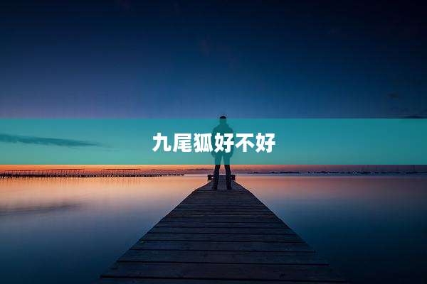 九尾狐好不好