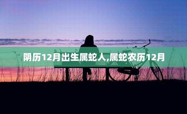 阴历12月出生属蛇人,属蛇农历12月