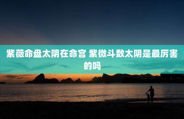 紫薇命盘太阴在命宫 紫微斗数太阴是最厉害的吗