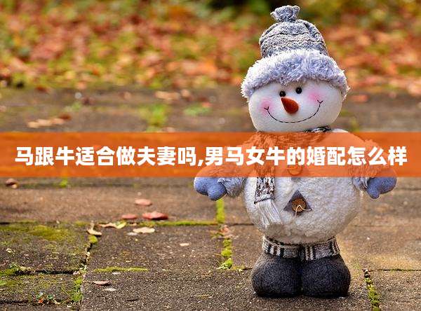 马跟牛适合做夫妻吗,男马女牛的婚配怎么样
