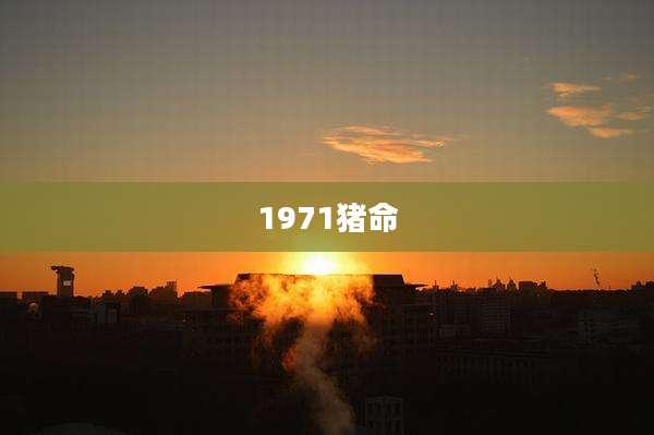 1971猪命