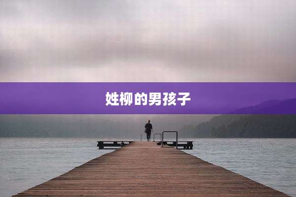 姓柳的男孩子