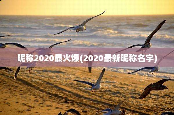 昵称2020最火爆(2020最新昵称名字)