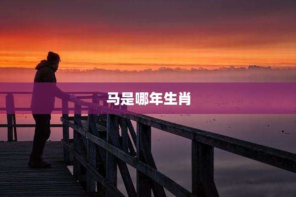 马是哪年生肖