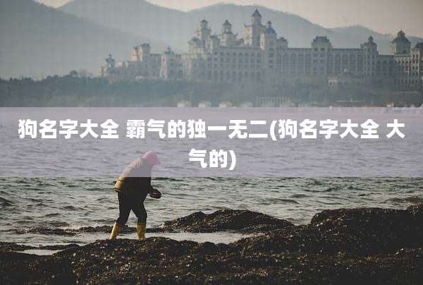 狗名字大全 霸气的独一无二(狗名字大全 大气的)