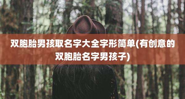 双胞胎男孩取名字大全字形简单(有创意的双胞胎名字男孩子)