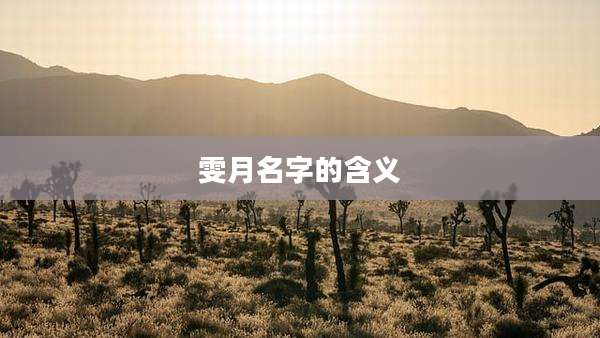 雯月名字的含义