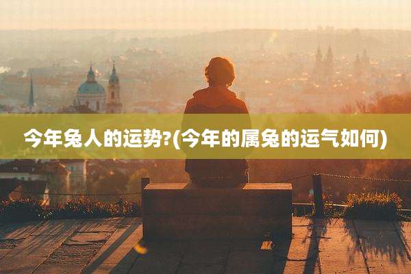 今年兔人的运势?(今年的属兔的运气如何)