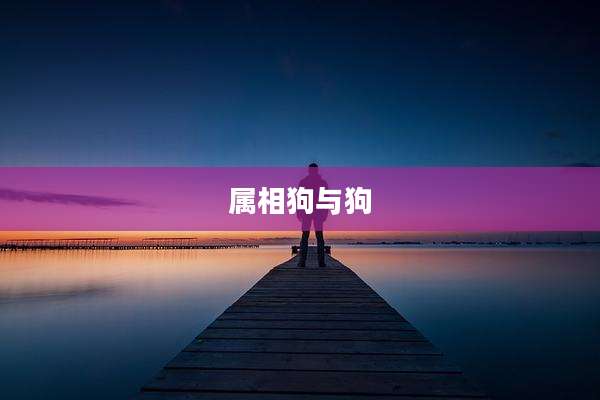 属相狗与狗