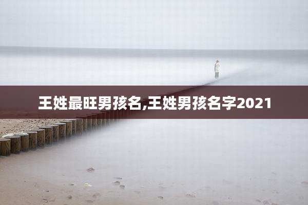 王姓最旺男孩名,王姓男孩名字2021