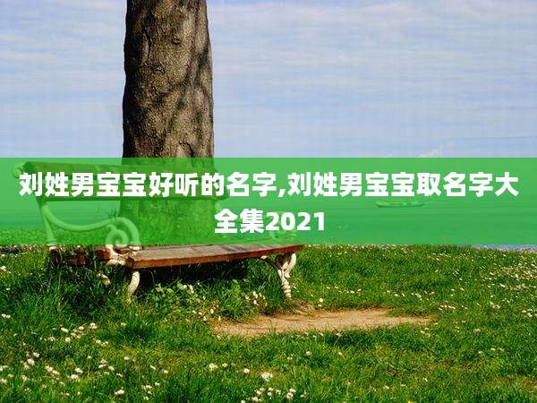 刘姓男宝宝好听的名字,刘姓男宝宝取名字大全集2021