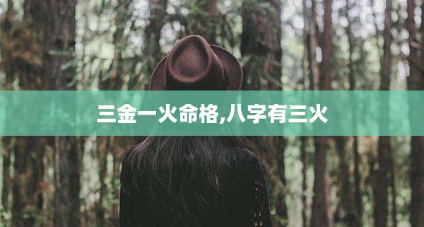 三金一火命格,八字有三火