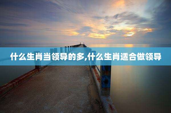 什么生肖当领导的多,什么生肖适合做领导