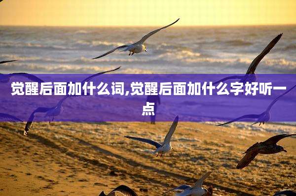 觉醒后面加什么词,觉醒后面加什么字好听一点