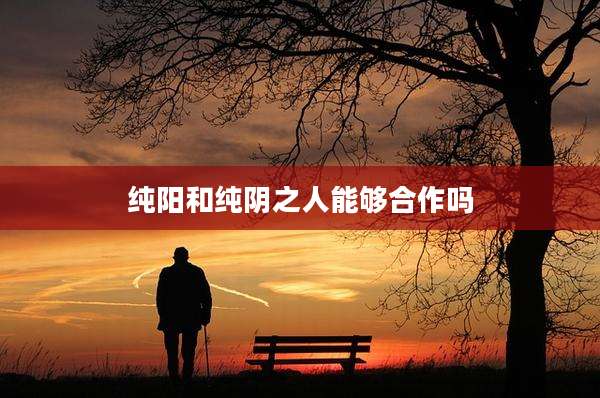 纯阳和纯阴之人能够合作吗