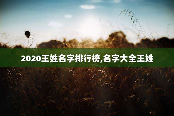 2020王姓名字排行榜,名字大全王姓