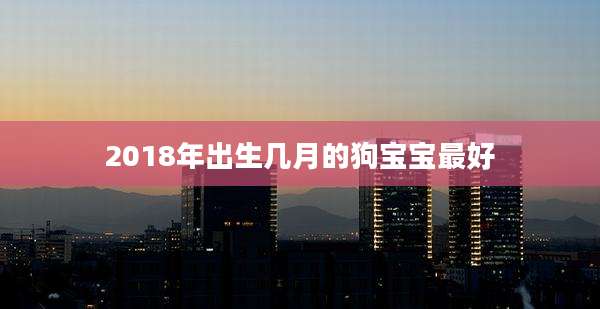 2018年出生几月的狗宝宝最好