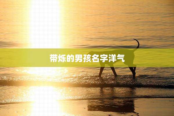 带烁的男孩名字洋气