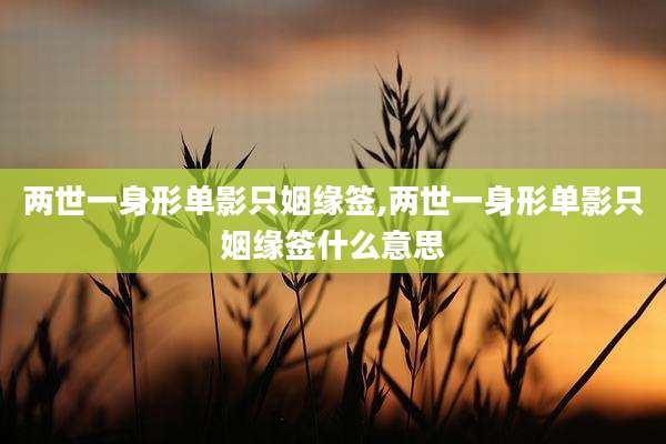 两世一身形单影只姻缘签,两世一身形单影只姻缘签什么意思