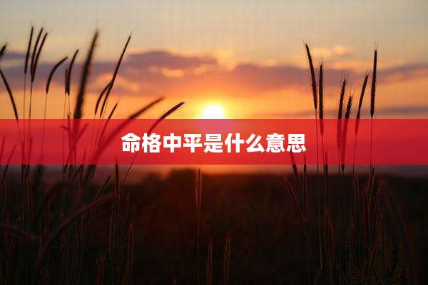 命格中平是什么意思