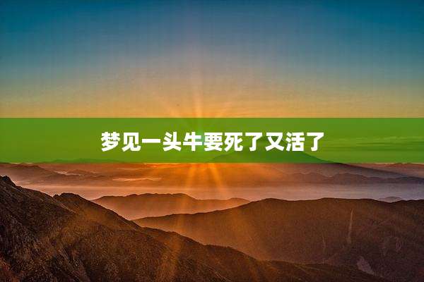 梦见一头牛要死了又活了