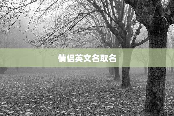 情侣英文名取名