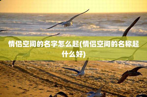 情侣空间的名字怎么起(情侣空间的名称起什么好)
