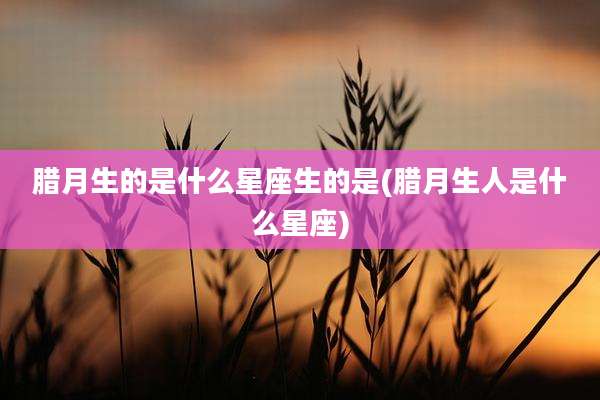 腊月生的是什么星座生的是(腊月生人是什么星座)