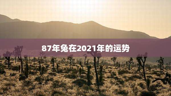 87年兔在2021年的运势