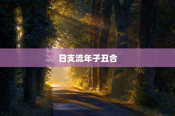 日支流年子丑合