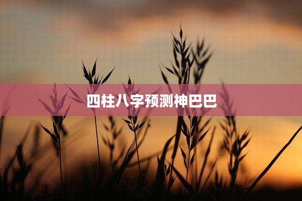 四柱八字预测神巴巴
