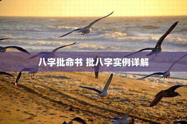 八字批命书 批八字实例详解