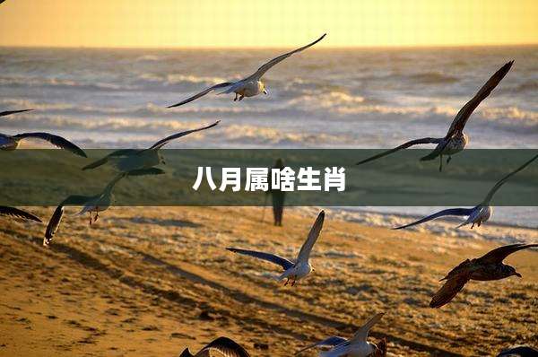 八月属啥生肖