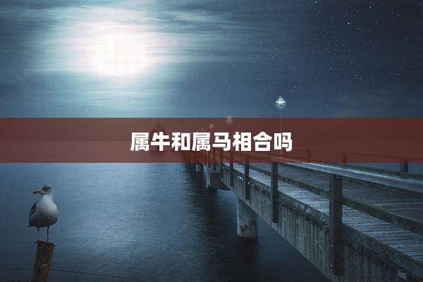 属牛和属马相合吗